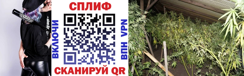 Где найти наркотики Высоцк А ПВП Мефедрон КОКАИН Гашиш Каннабис