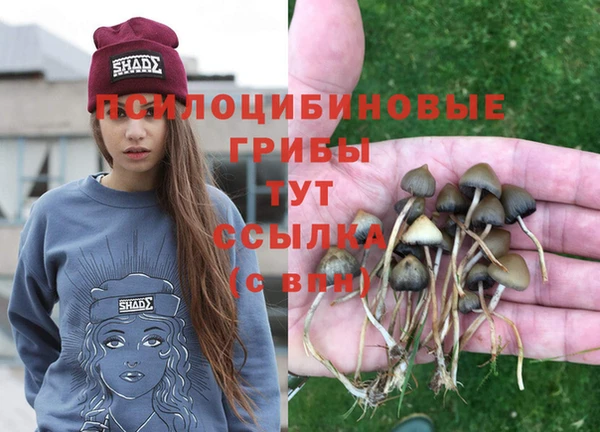 герыч Волоколамск